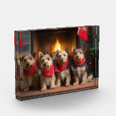 Australische Terrier bij de Haard Kerstmis Fotoblokken (Links)