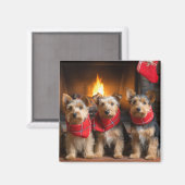 Australische Terrier bij de Haard Kerstmis Magneet (Voorkant / Achterkant)
