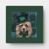 Australische Terrier Fotoplaat (Voorkant)