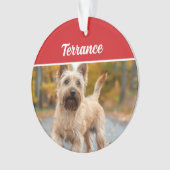 Australische Terrier Hond Vakantie Kerstfoto Ornament (voorkant)