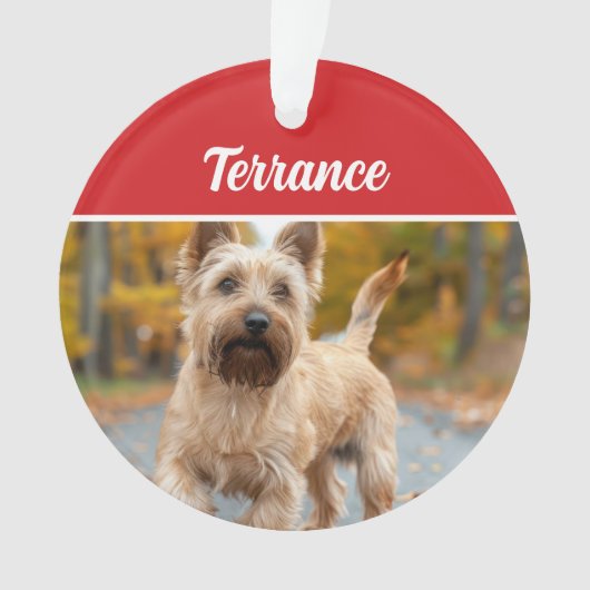 Australische Terrier Hond Vakantie Kerstfoto Ornament (voorkant)