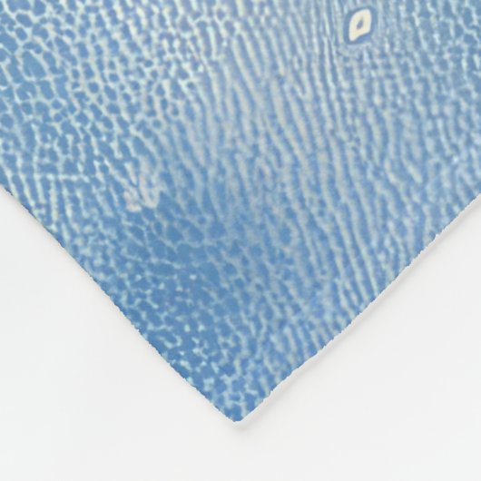 Australische Terriër in Sledge Laat het Sneeuw Ker Fleece Deken (Hoek)