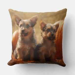 Australische Terrier Pup Autumn Delight Pompoen Kussen