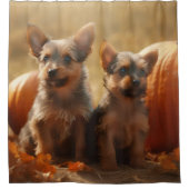 Australische Terrier Puppy Herfst Delight Pompoen Douchegordijn (Voorkant)