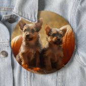 Australische Terrier Puppy Herfst Delight Pompoen Ronde Button 6,0 Cm (In situ)