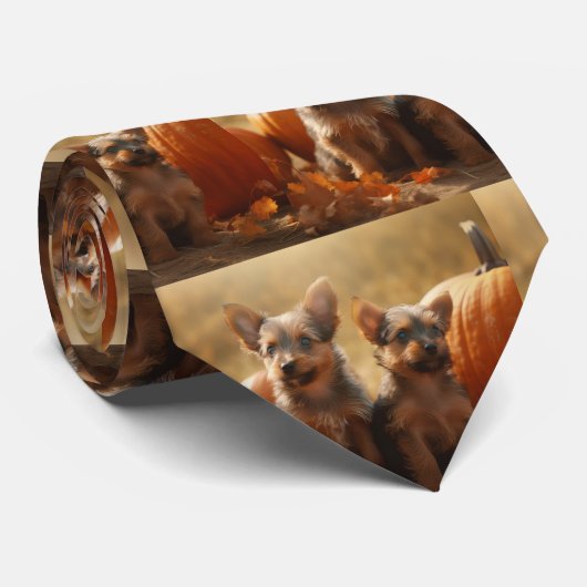 Australische Terrier Puppy Herfst Delight Pompoen Stropdas (Opgerold)