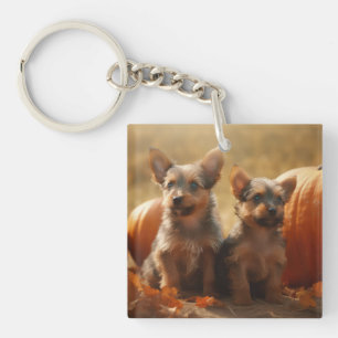 Australische Terrier Puppy Herfst Plezier Pompoen Sleutelhanger