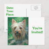 Australische Terrier Uitnodiging Briefkaart (Voorkant / Achterkant)