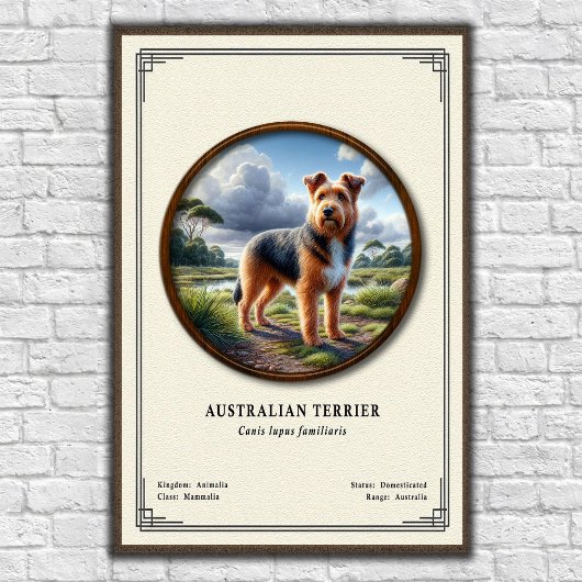 Australische Terriër Zoologie Serie Poster