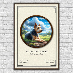 Australische Terriër Zoologie Serie Poster