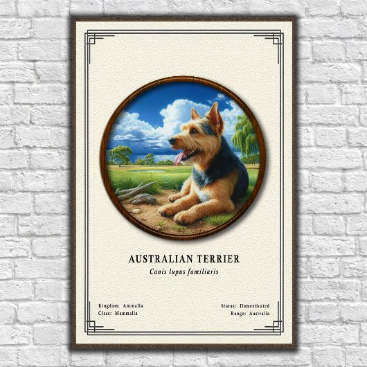 Australische Terriër Zoologie Serie Poster