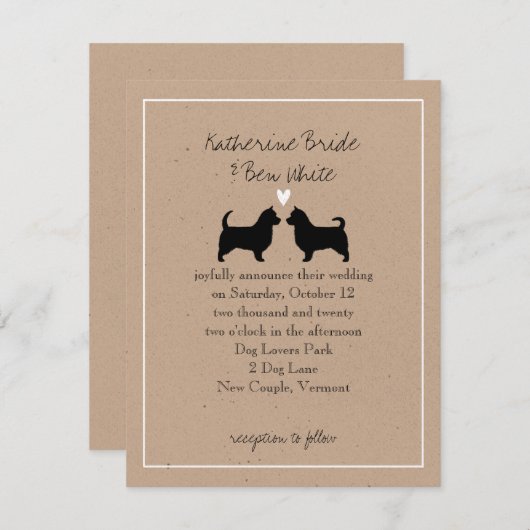 Australische Terriers met lange taartwonden Kaart (Voorkant / Achterkant)