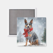 Australische vee Hond in Sneeuw Kerstmis Magneet (Voorkant / Achterkant)