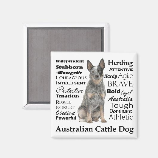 Australische vee hond kenmerken magneet (Voorkant / Achterkant)