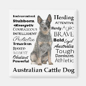 Australische vee hond kenmerken magneet (Voorkant)