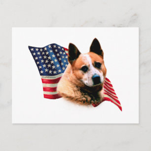 Australische vee hond vlag briefkaart