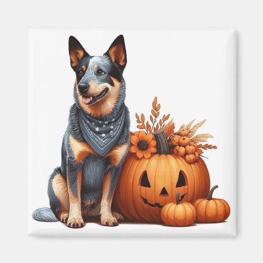 Australische veedrijvershond naast een Jack-O-Lant Magneet (Voorkant)
