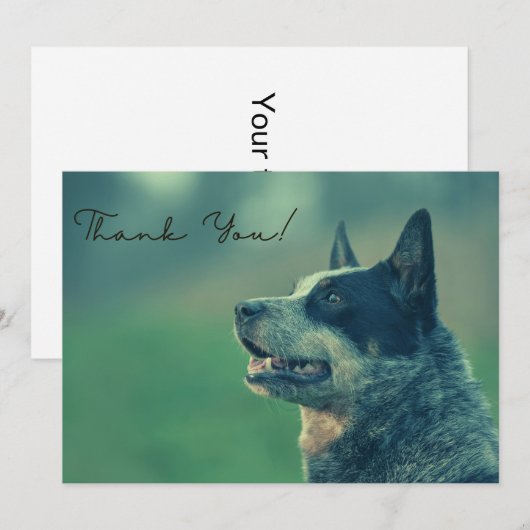 Australische veefokkerij Hartelijk dank Bedankkaart (Voorkant / Achterkant)