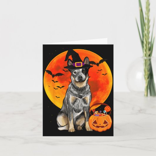 Australische veehond Halloween pompoen Kaart (Voorkant)