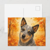 Australische veehond herfst bos hond briefkaart (Voorkant / Achterkant)