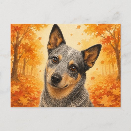 Australische veehond herfst bos hond briefkaart (Voorkant)
