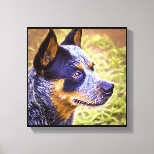 Australische veehond - Hond Portret Canvas Afdruk (Voorkant)