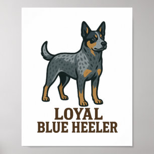 Australische veehond trouwe Blue Heeler Poster