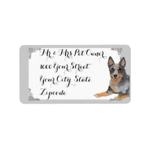 Australische Veehond w/wit en zilveren ontwerp