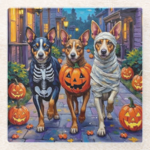 Australische veestapel Trick-or-Treating in Hallow Glazen Onderzetter