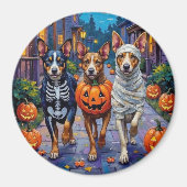 Australische veestapel Trick-or-Treating in Hallow Magneet (Voorkant)