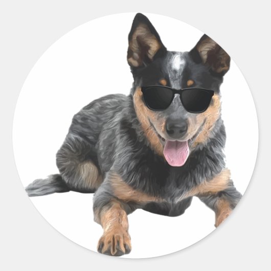 Australische veetel Heeler Dog in Aviator Ronde Sticker (Voorkant)
