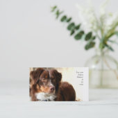 Australische visitekaartjes van Shepherd (Staand voorkant)