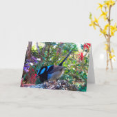 Australische vogel, Superb Fairy Wren. Kaart (Gele Bloem)