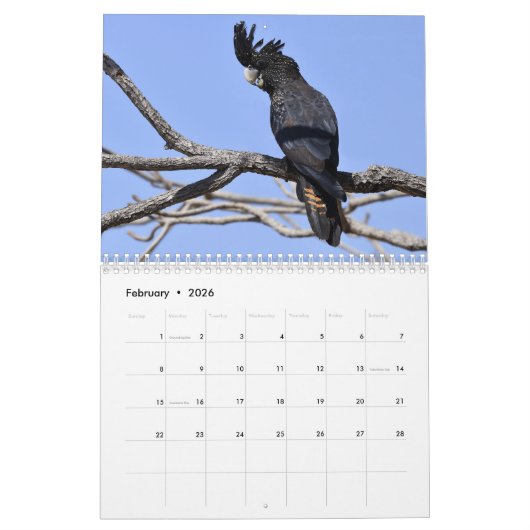 Australische vogelkalender kalender (Feb 2026)