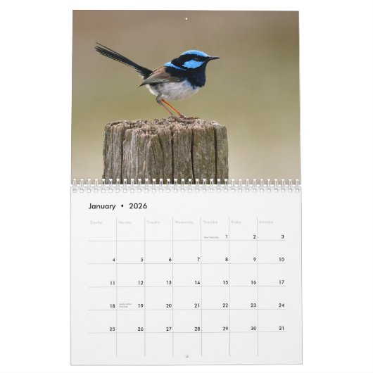 Australische vogelkalender kalender (Jan 2026)