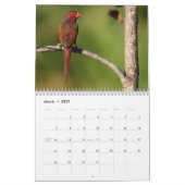 Australische vogelkalender kalender (Mar 2027)