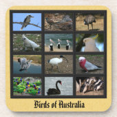 Australische vogels bier onderzetter (Voorkant)