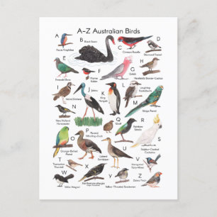 Australische vogels briefkaart
