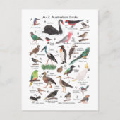 Australische vogels briefkaart (Voorkant)