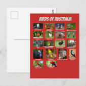 Australische vogels briefkaart (Voorkant / Achterkant)
