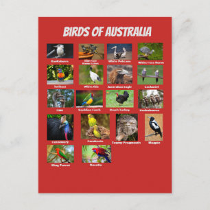 Australische vogels briefkaart