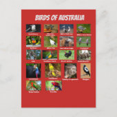 Australische vogels briefkaart (Voorkant)
