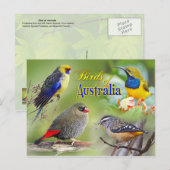 Australische vogels briefkaart (Voorkant / Achterkant)