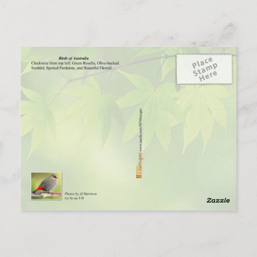 Australische vogels briefkaart (Achterkant)