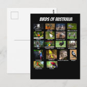 Australische vogels briefkaart (Voorkant / Achterkant)
