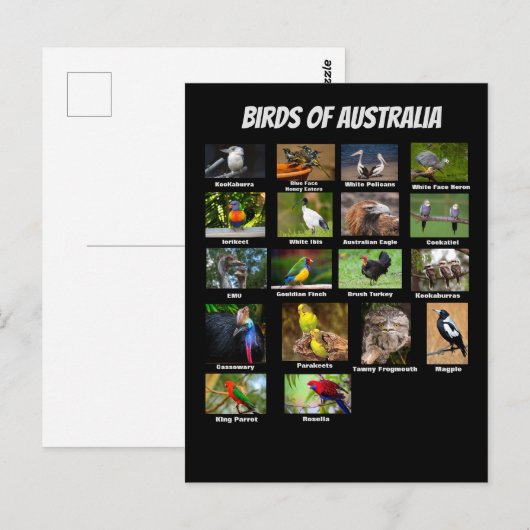 Australische vogels briefkaart (Voorkant / Achterkant)