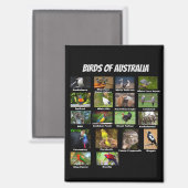 Australische vogels magneet (Voorkant / Achterkant)