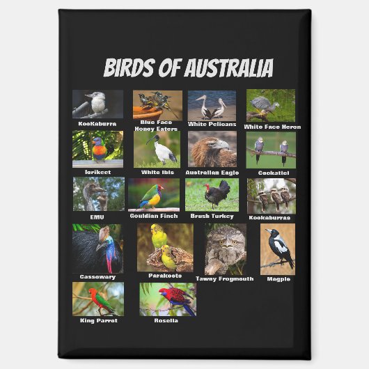 Australische vogels magneet (Voorkant)