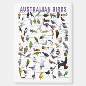 Australische vogels magneet (Voorkant)