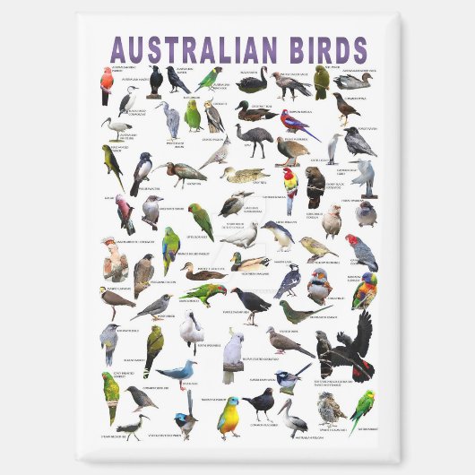 Australische vogels magneet (Voorkant)